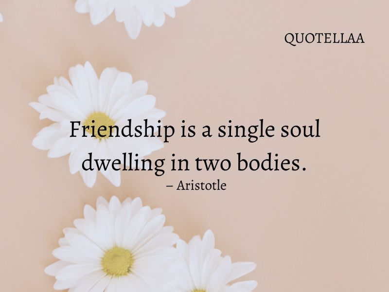 friendship quotes