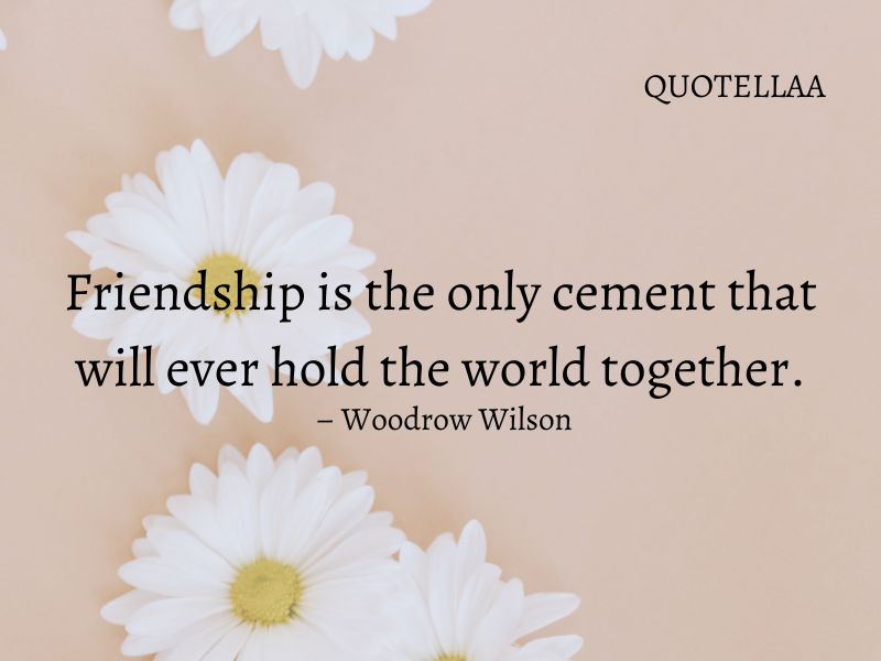 friendship quotes