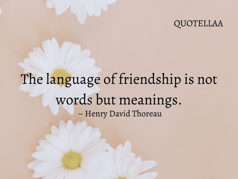 friendship quotes