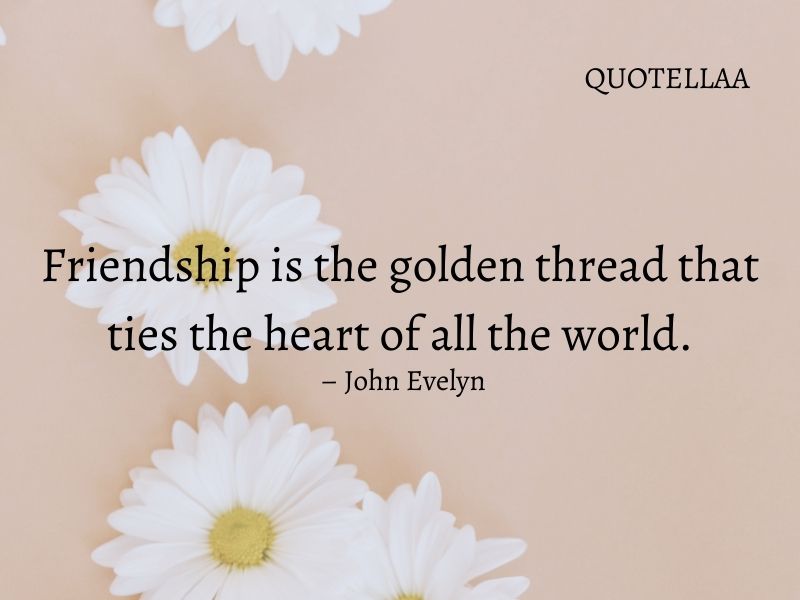 friendship quotes