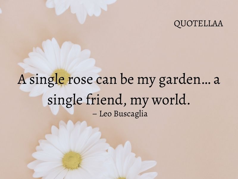 friendship quotes