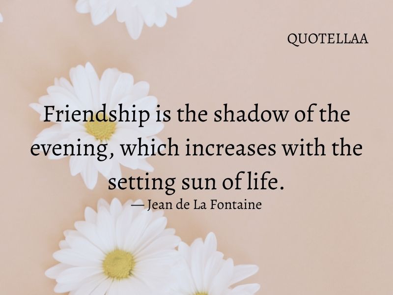 friendship quotes