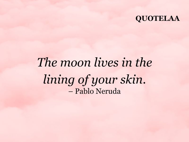 Aesthetic quotes