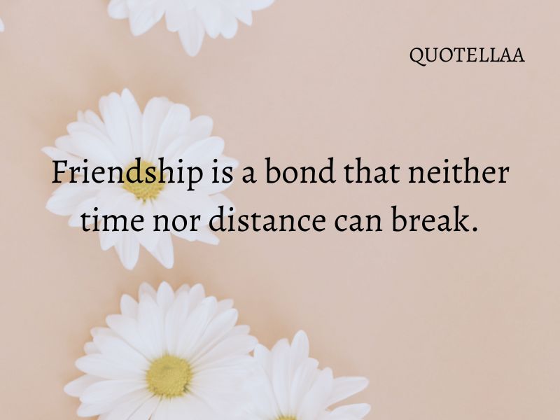 friendship quotes