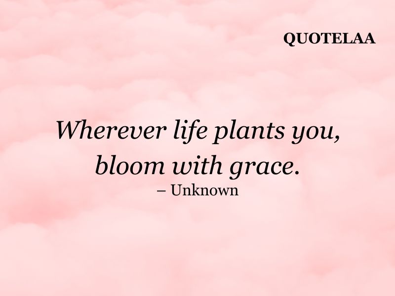 Aesthetic quotes