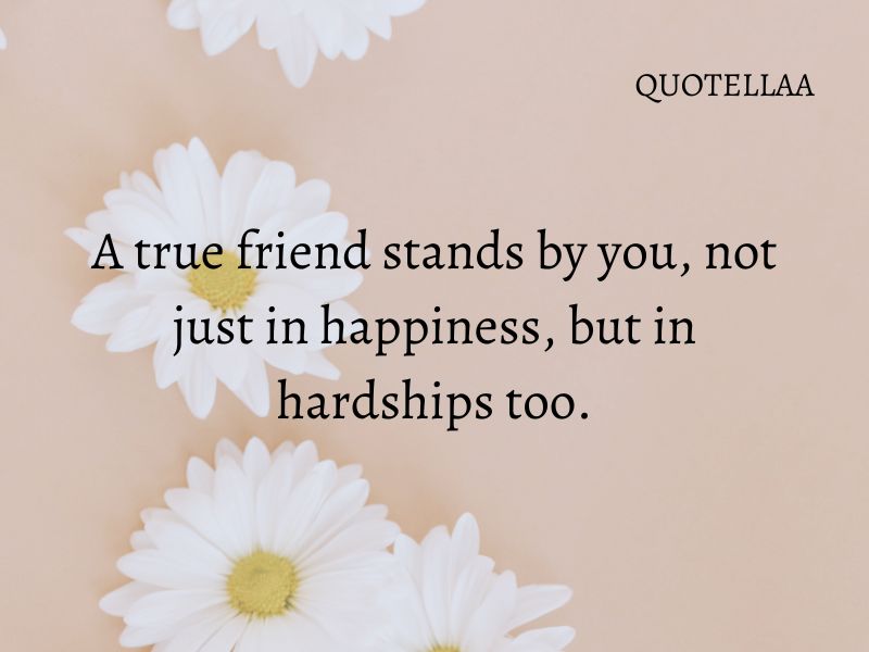 friendship quotes
