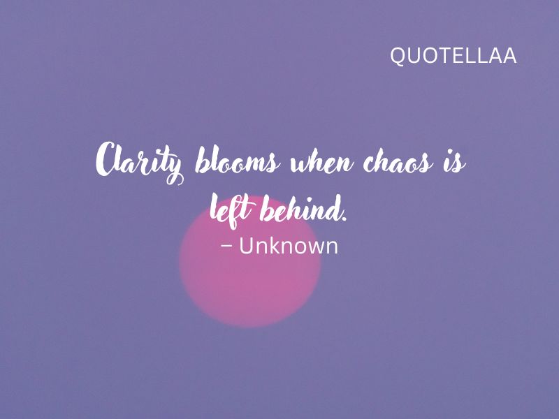 Aesthetic quotes
