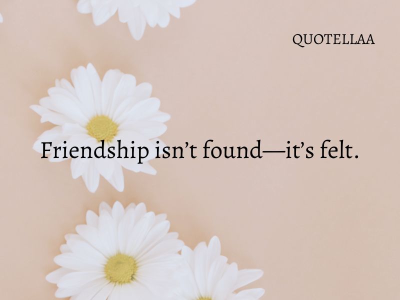 friendship quotes