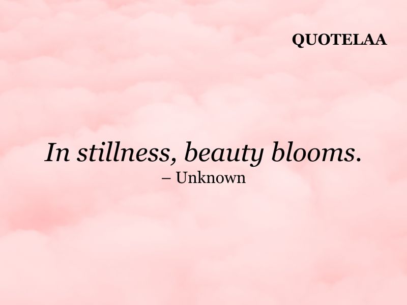 Aesthetic quotes