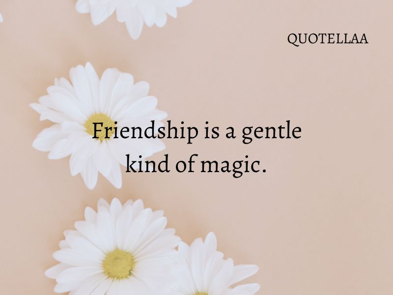 friendship quotes