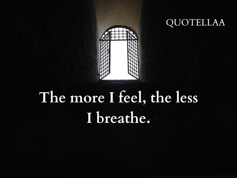 dark quotes