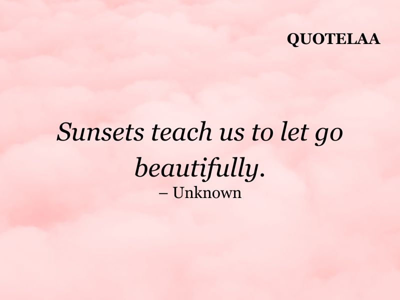 Aesthetic quotes
