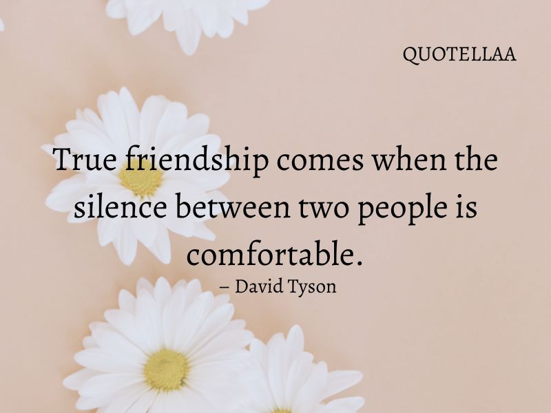 friendship quotes