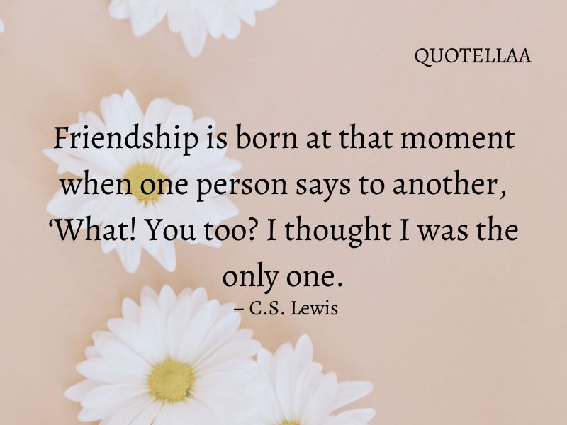 friendship quotes