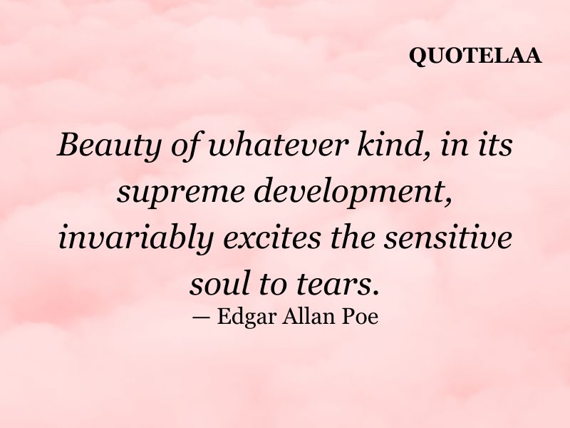 Aesthetic quotes