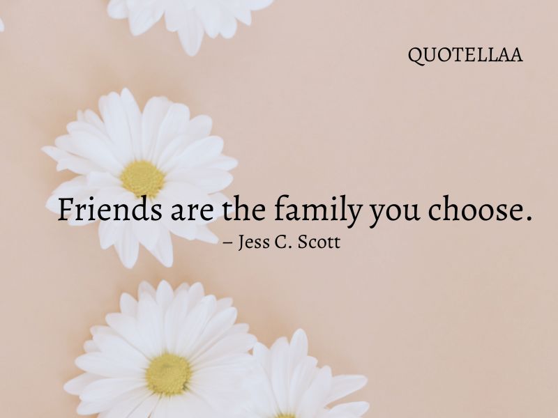 friendship quotes