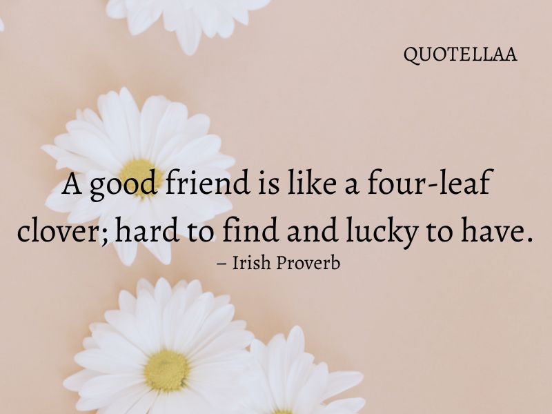 friendship quotes