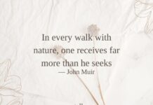 Beautiful Aesthetic Quotes aesthetic quotes