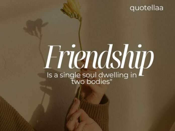 Friendship Quotes