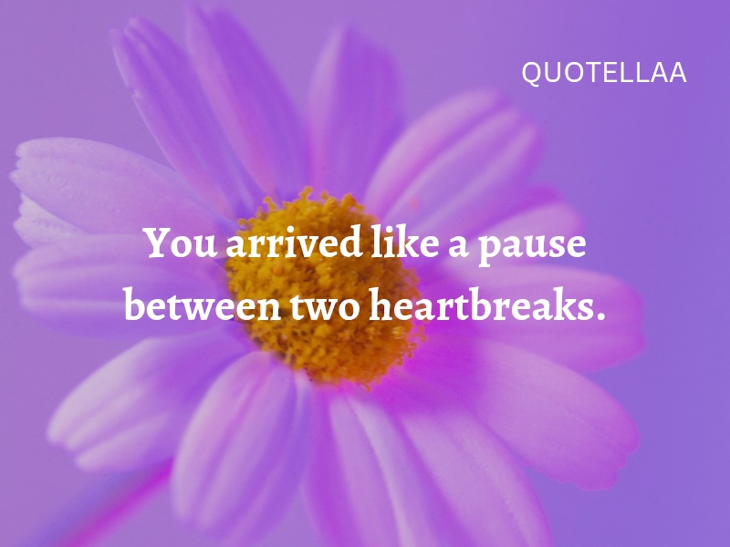 Best love quotes