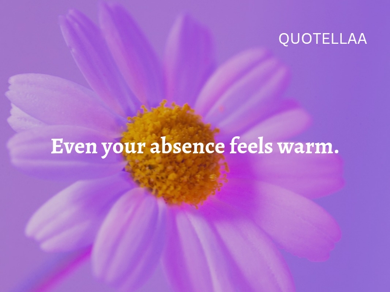 Best love quotes 