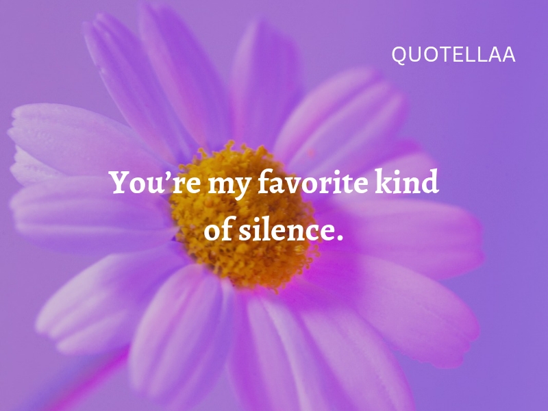 Best love quotes