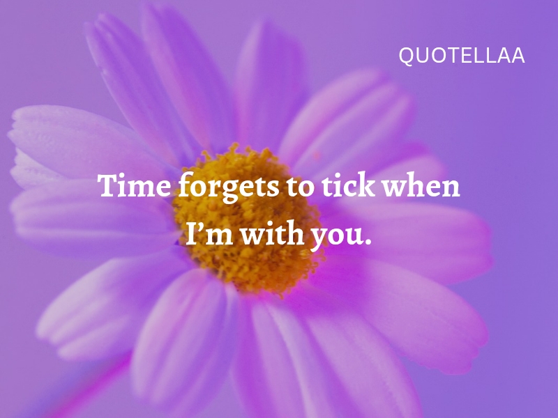 Best love quotes