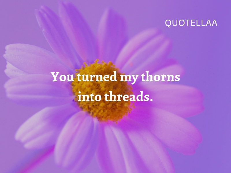 Best love quotes 