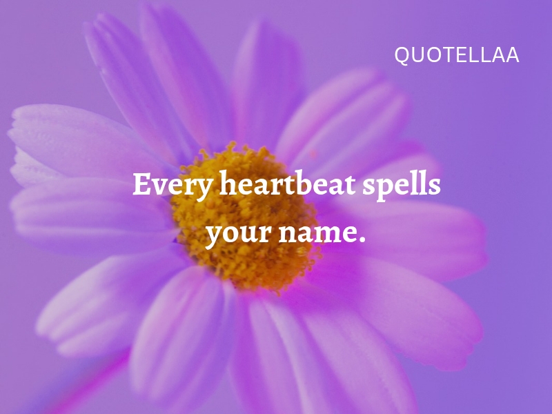 Best love quotes