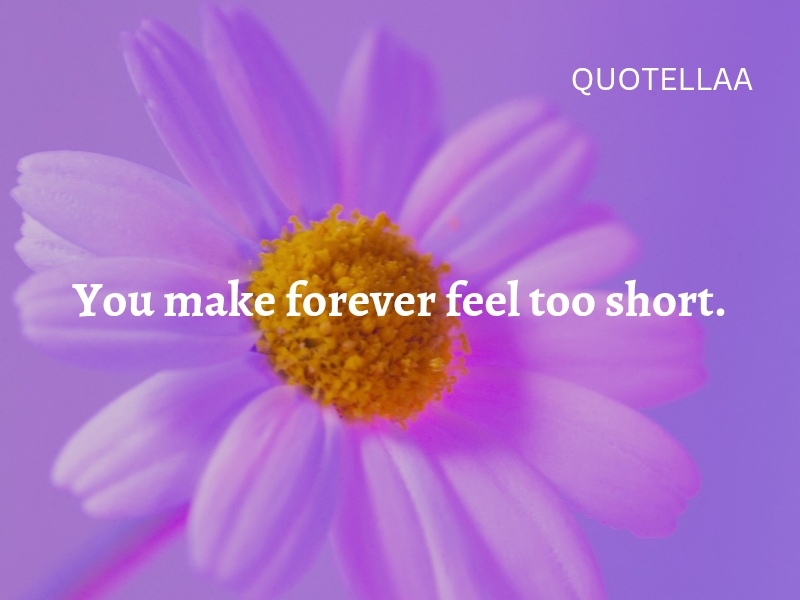 Best love quotes