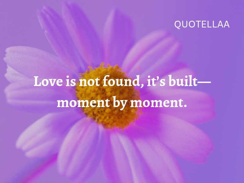 Best love quotes