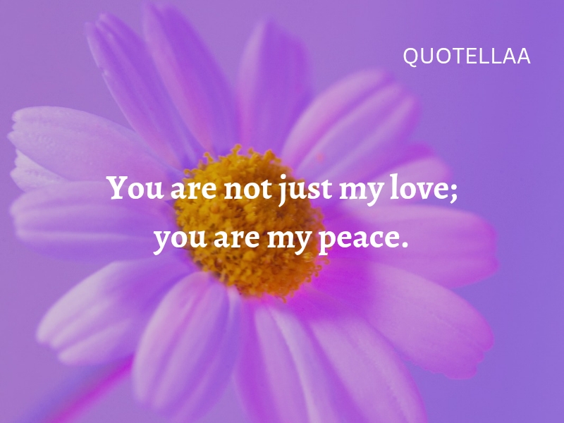 Best love quotes