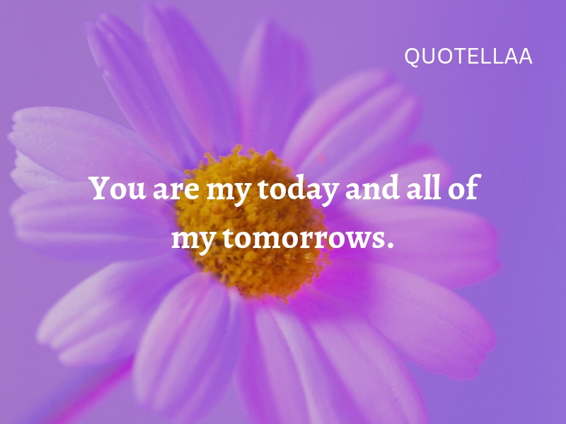 Best love quotes 