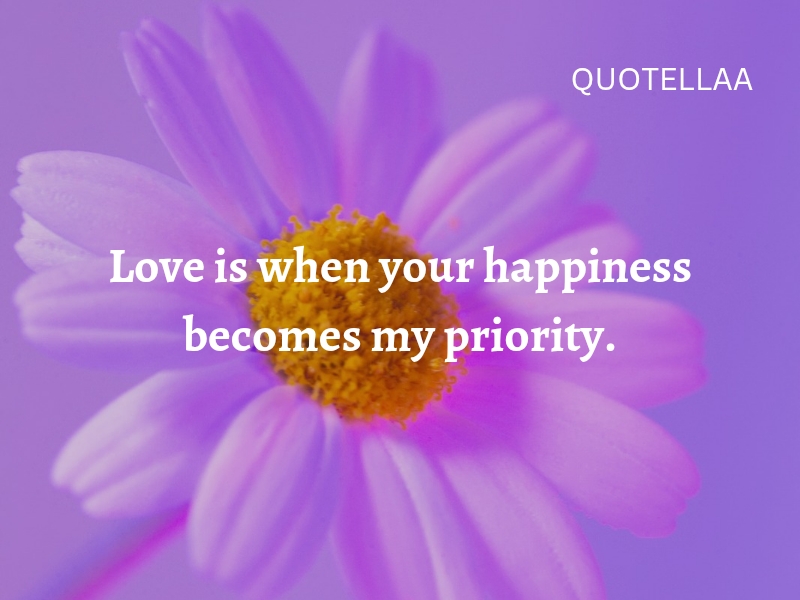 Best love quotes