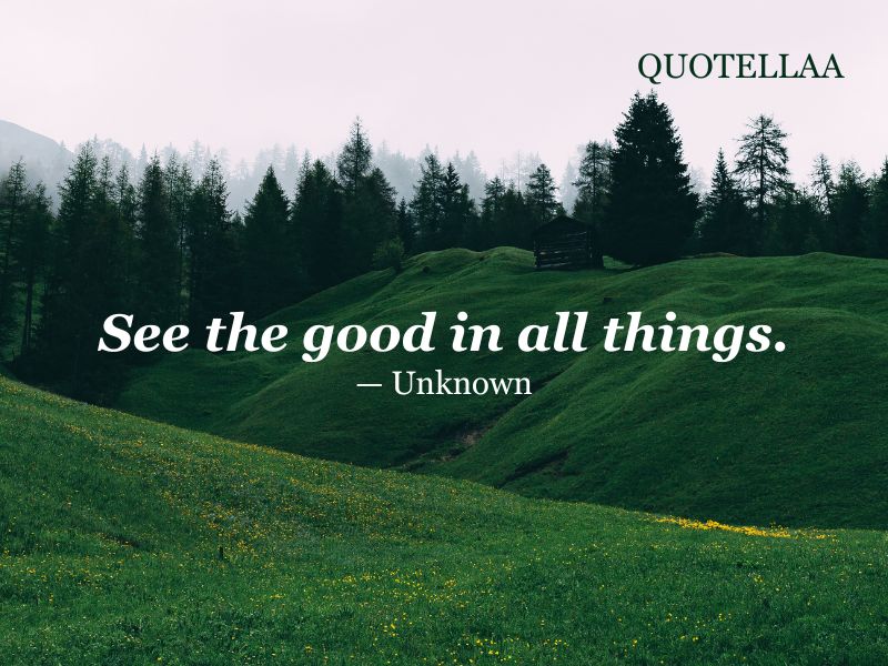 Positive attitude quotes