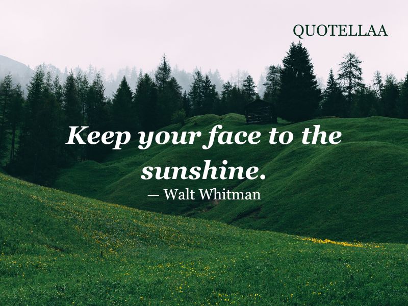 Positive attitude quotes 