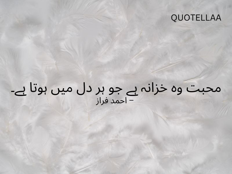 Urdu quotes