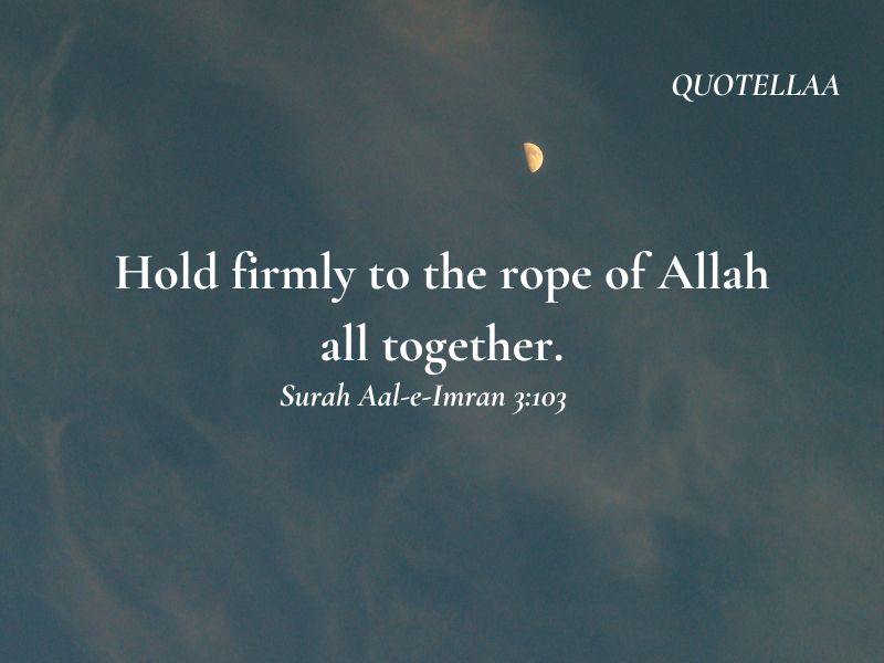 Quotes from the Quran