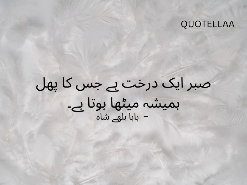 Urdu quotes
