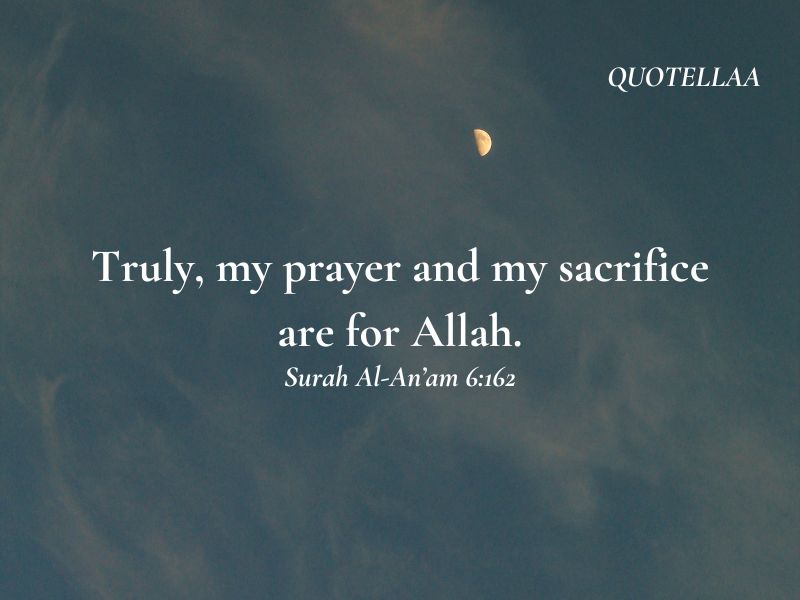 Quotes from the Quran