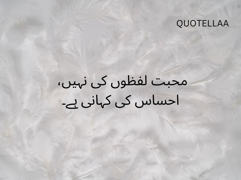 Urdu quotes