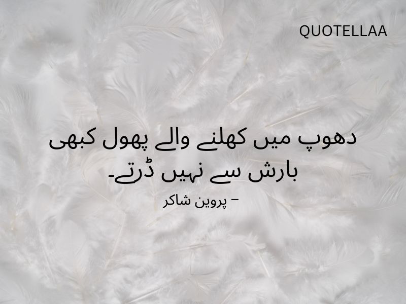 Urdu quotes