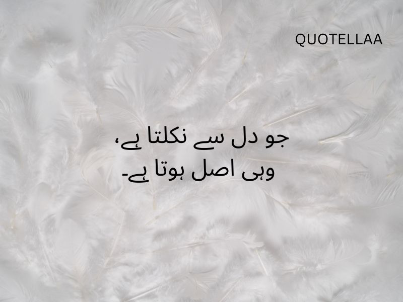 Urdu quotes