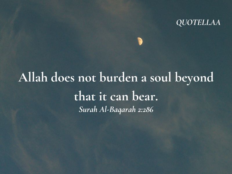 Quotes from the Quran
