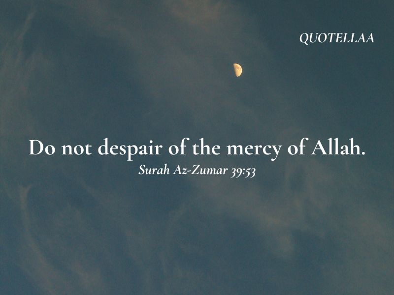 Quotes from the Quran
