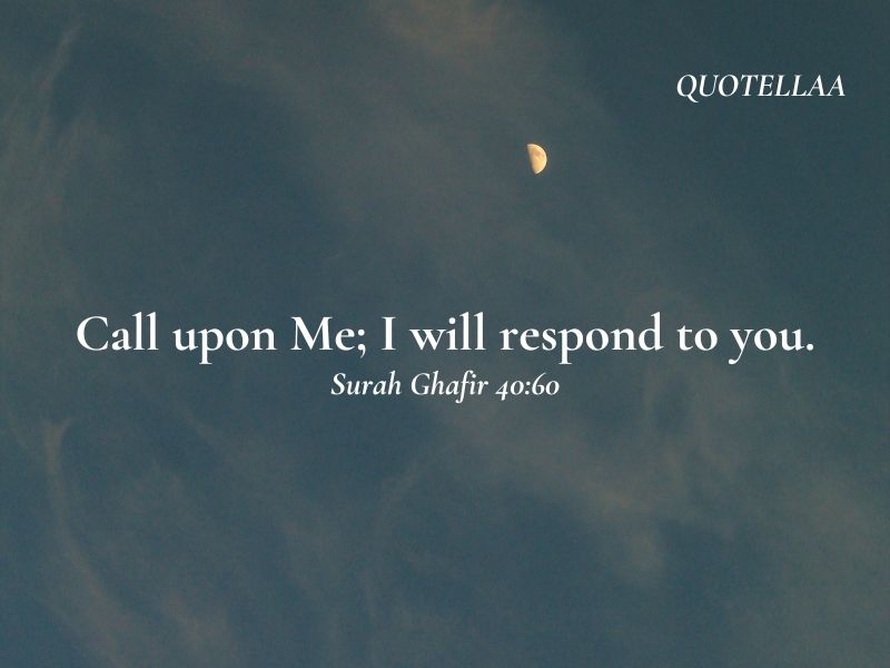 Quotes from the Quran