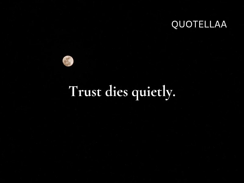 Dark quotes 