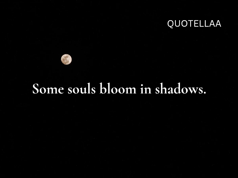 Dark quotes 