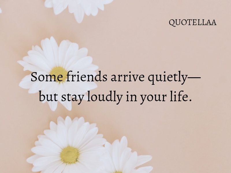 Friendship quotes 