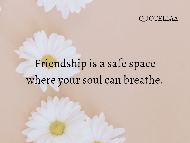 Friendship quotes 